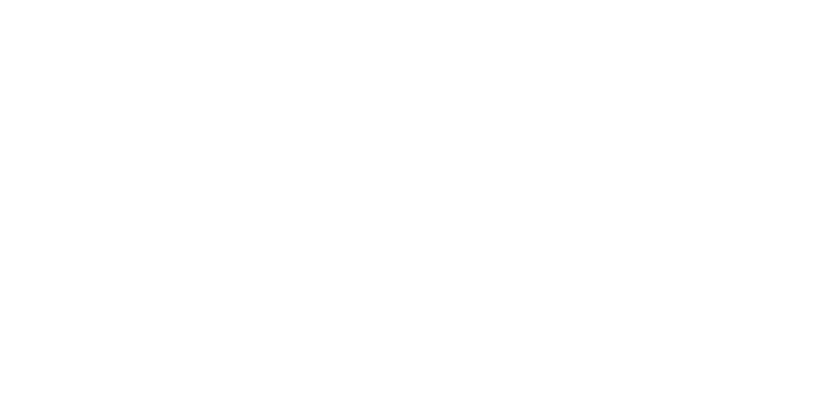 Prahari Security